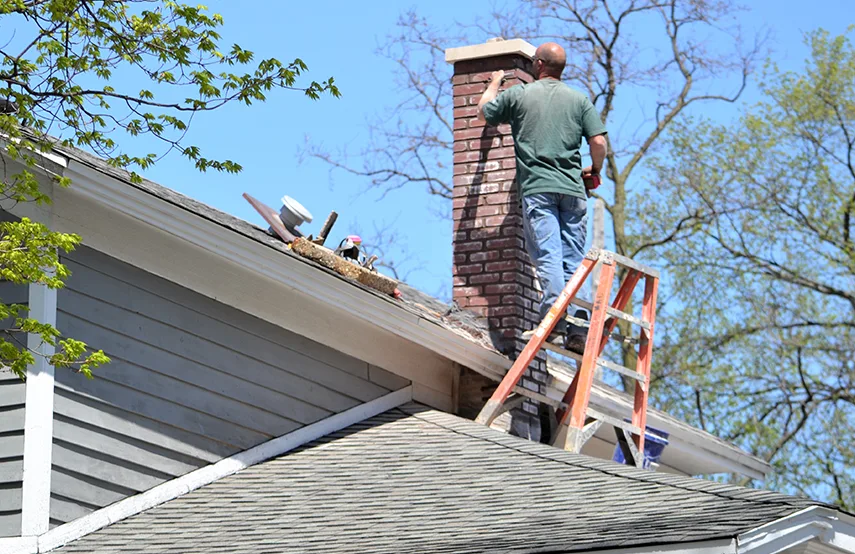 Chimney & Fireplace Inspections Services in Valley Stream, NY